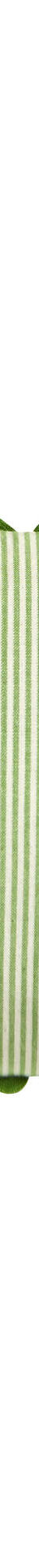 Coussin rectangulaire rayé coton (vert) Coussin rectangulaire rayé coton (vert)